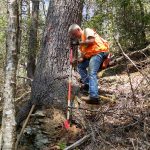 Land Surveying in Western North Carolina