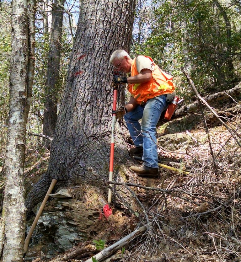 Smoky Mountain Land Surveying Franklin NC Surveyor Ben West